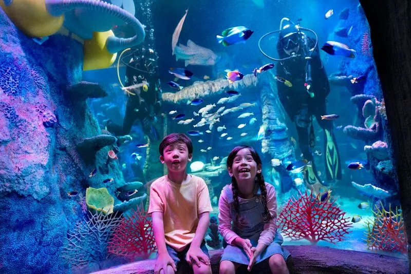 SEA Life Aquarium at Legoland Malaysia with colorful marine life exhibits