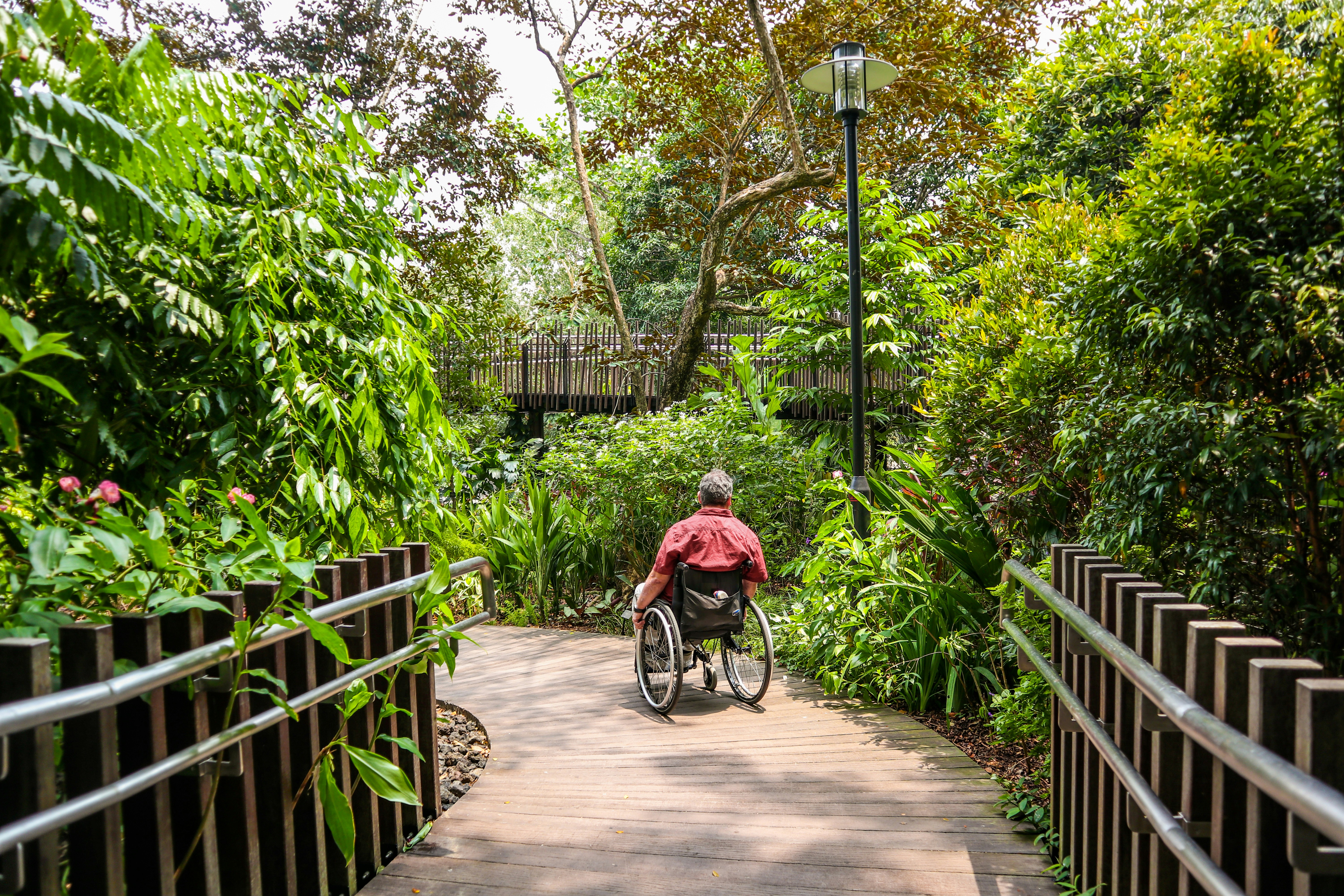Wheelchair-friendly paths at Gardens by the Bay in Singapore
