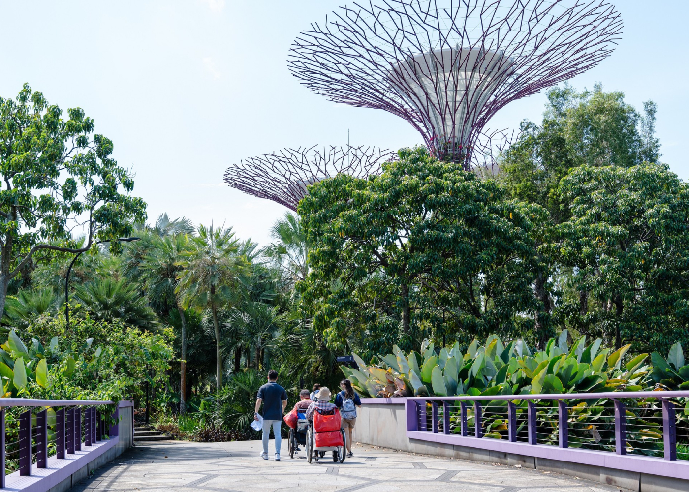 Wheelchair user enjoying barrier-free park in Singapore
