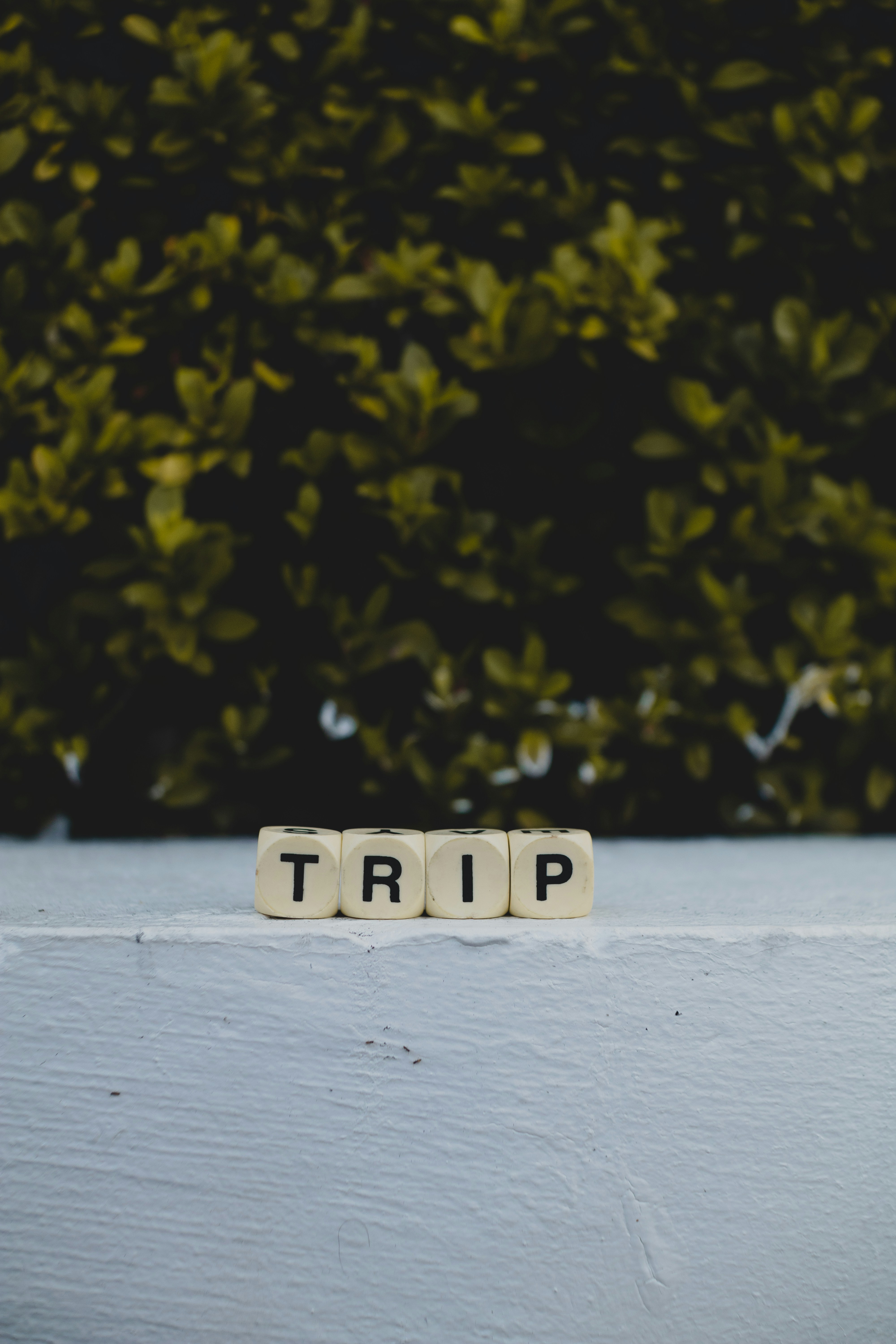 Travel destination